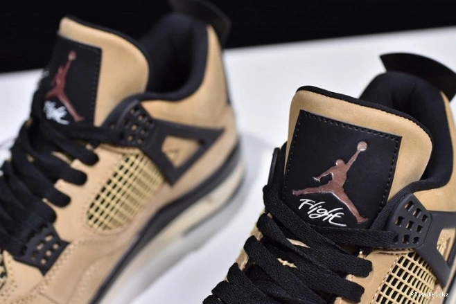 Air Jordan AQ9129-200 4 Mushroom 0809